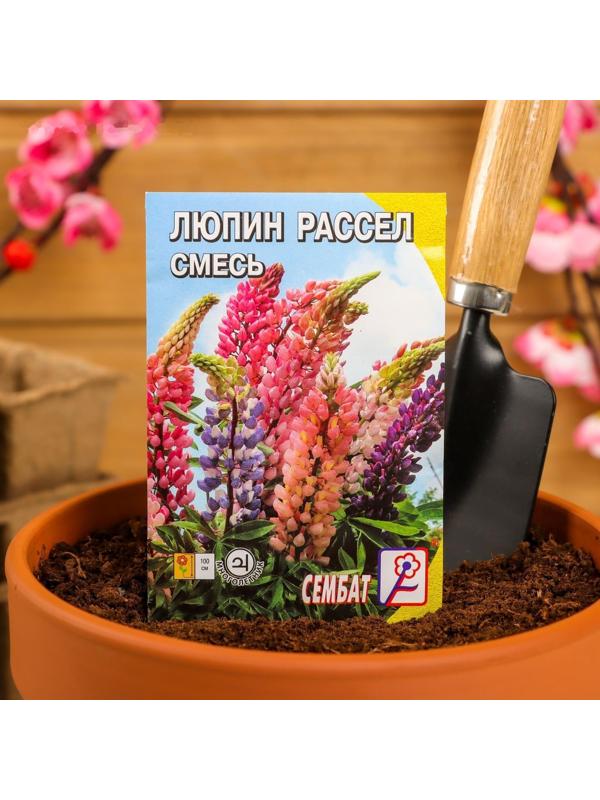 Семена цветов Люпин 