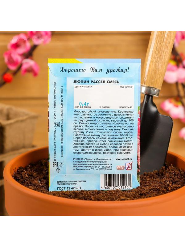 Семена цветов Люпин 