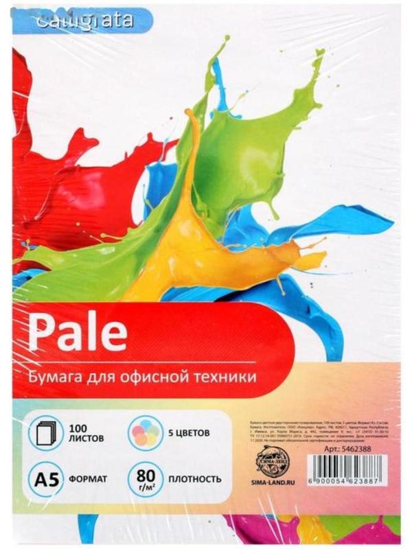 Бумага цветная А5, 100 листов Calligrata Пастель, 5 цветов, 80 г/м²