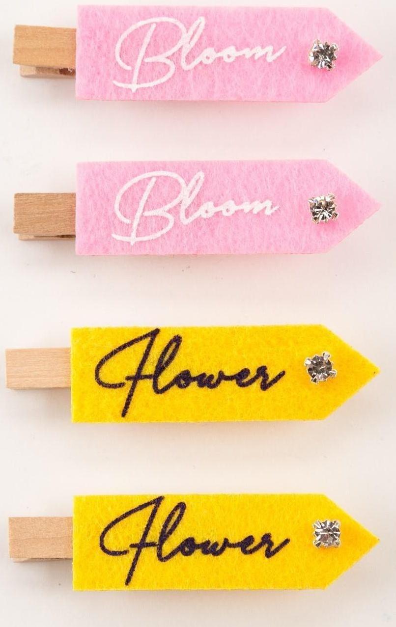 Набор декоративных прищепок 