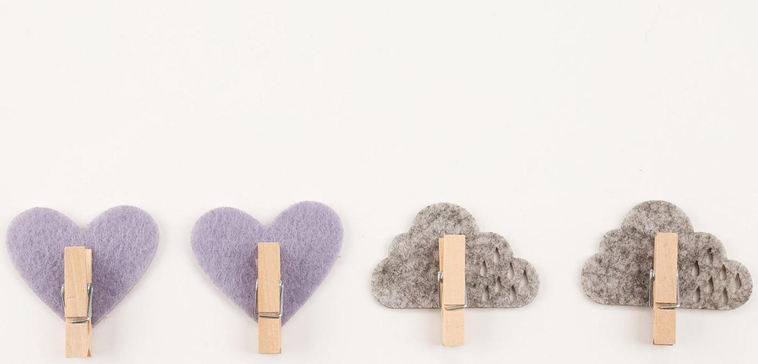 Набор декоративных прищепок 