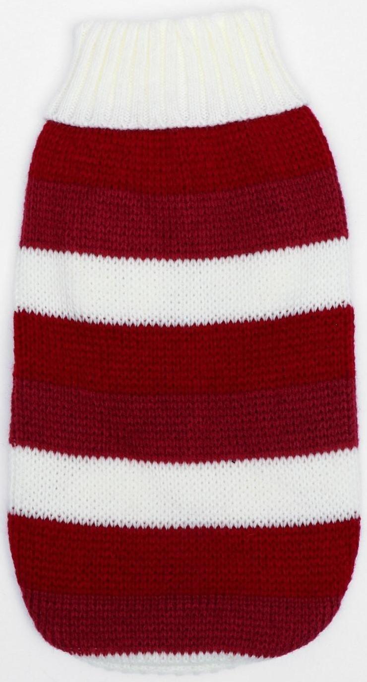 Свитер, размер 10 (ДС 30-45, ОШ 16-31, ОГ 30-45 см), микс расцветок