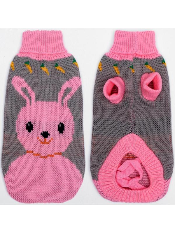 Свитер, размер 10 (ДС 30-45, ОШ 16-31, ОГ 30-45 см), микс расцветок