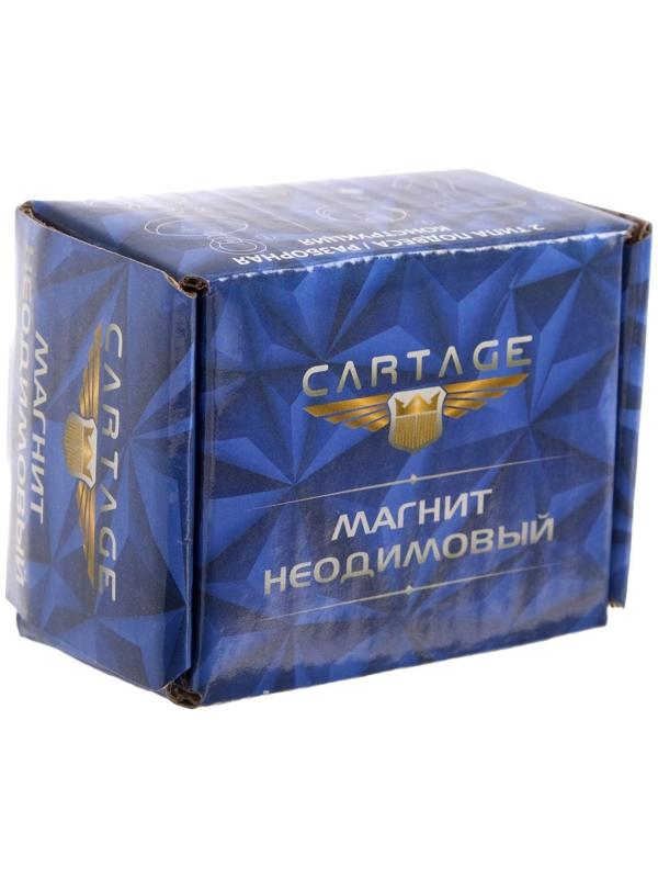 Магнит неодимовый Cartage с петлёй для авто, d 36 мм, сцепление 23 кг