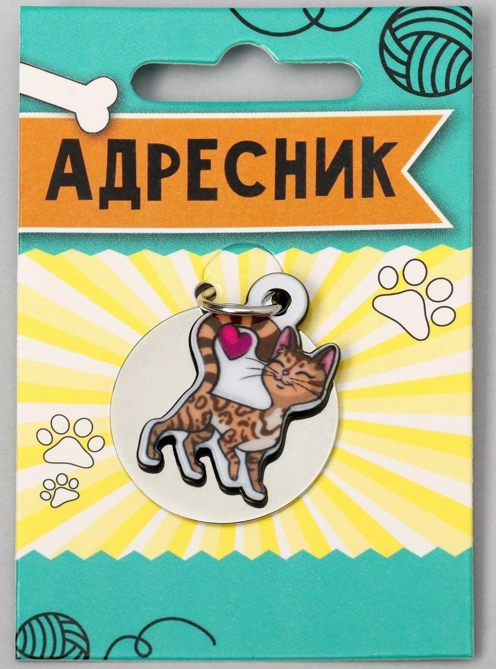 Адресник под гравировку + подвес акрил «Бенгальская кошка», 3х3 см