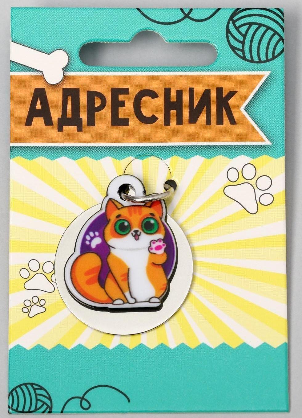 Адресник под гравировку + подвес акрил «Рыжий кот», 3х3 см