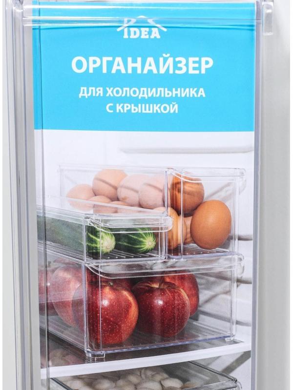 Контейнер для холодильника с крышкой IDEA, 20×30×10 см, цвет прозрачный