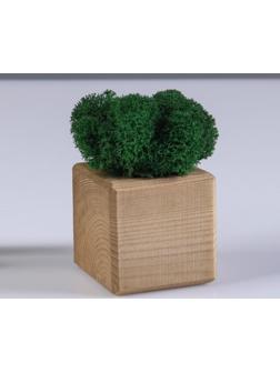 Кашпо композиция со мхом 
