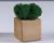 Кашпо композиция со мхом 