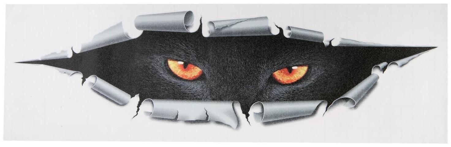 Наклейка на авто, светоотражающая 3D, 41×13 см, 