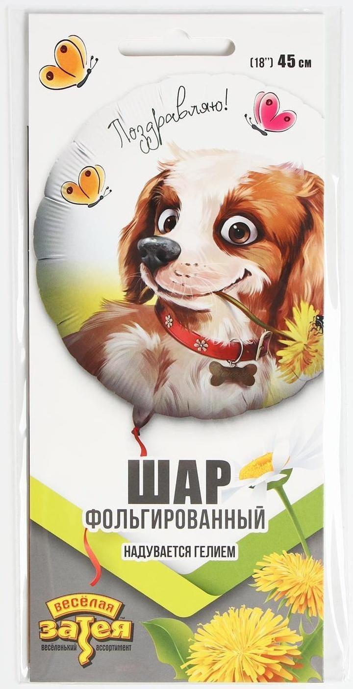 Шар фольгированный 18