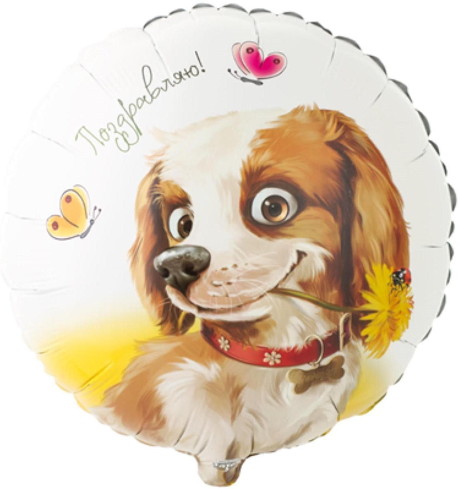 Шар фольгированный 18