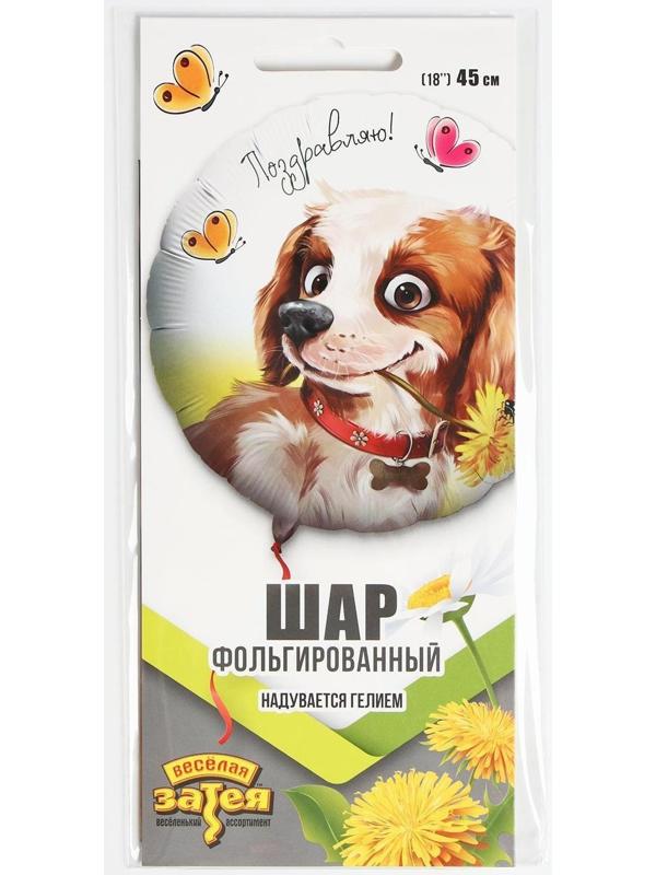 Шар фольгированный 18