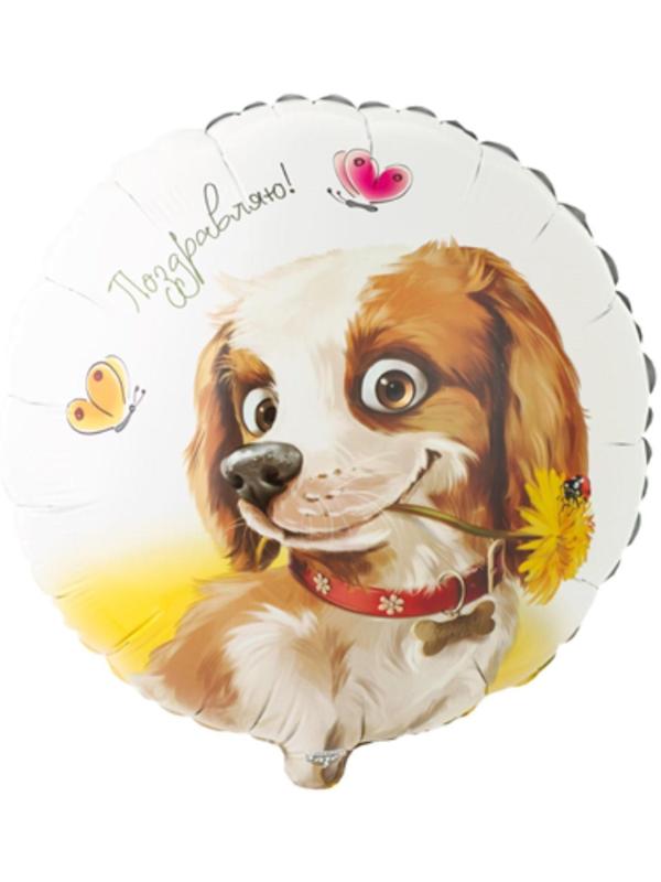 Шар фольгированный 18