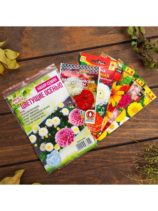 Набор семян цветов 