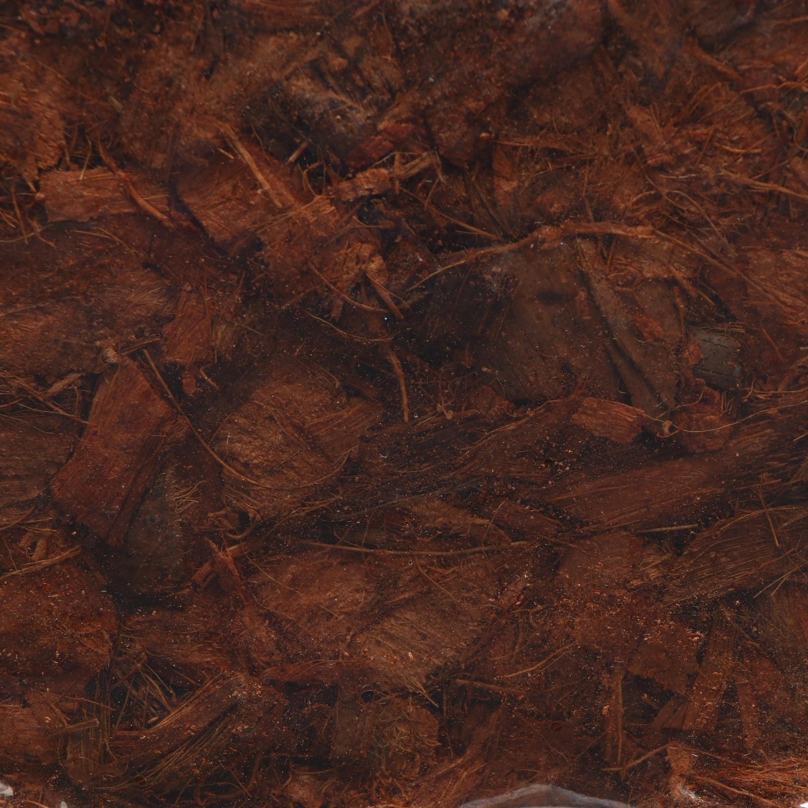 Субстрат кокосовый в брикете, 5 л, кокосовые чипсы, универсальный, Greengo