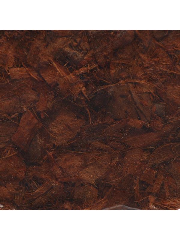 Субстрат кокосовый в брикете, 5 л, кокосовые чипсы, универсальный, Greengo