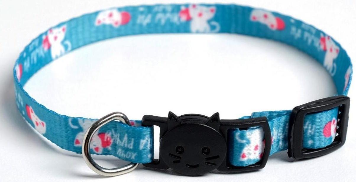 Ошейник для кошек с фастексом «Хочу на ручки», 30 х 1 см