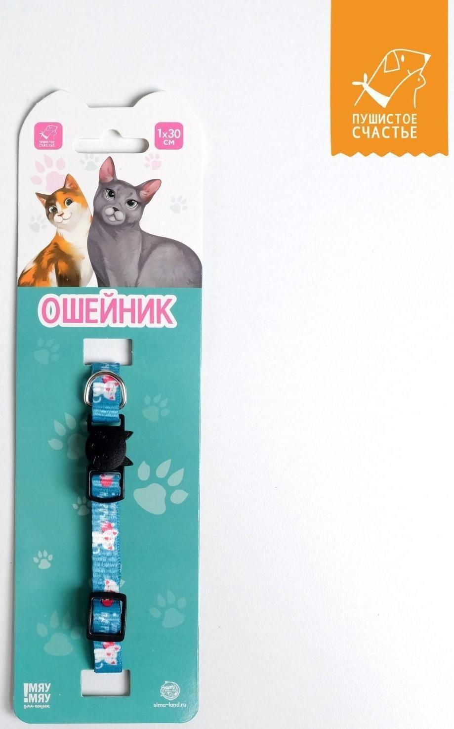 Ошейник для кошек с фастексом «Хочу на ручки», 30 х 1 см