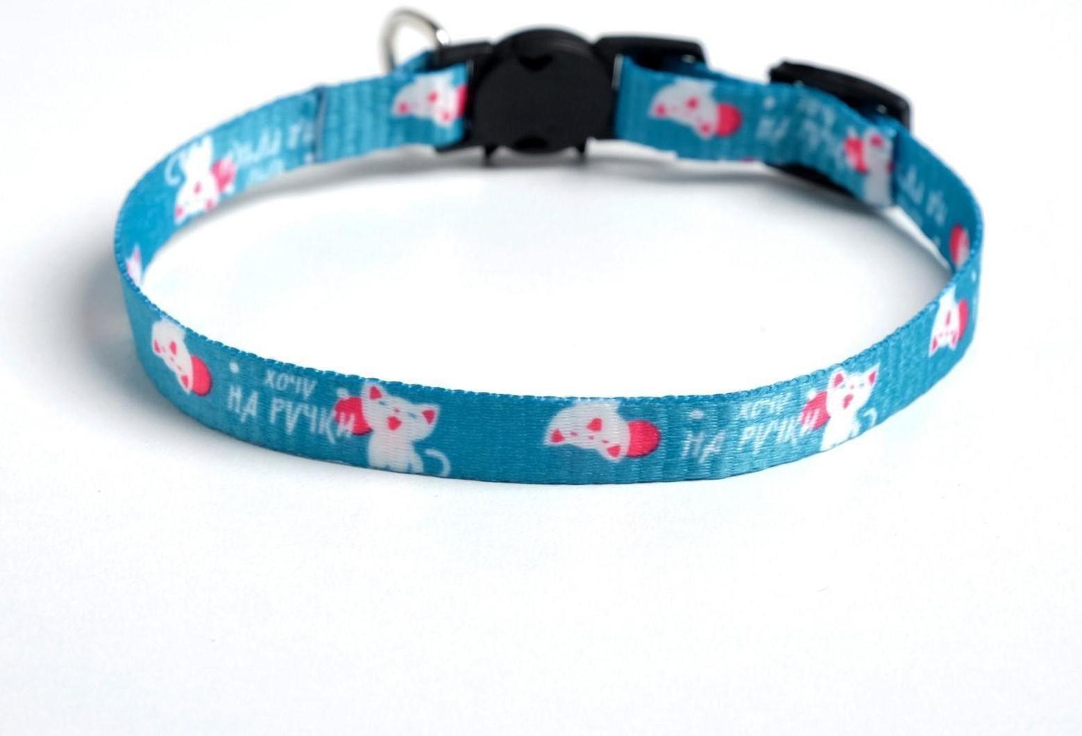 Ошейник для кошек с фастексом «Хочу на ручки», 30 х 1 см