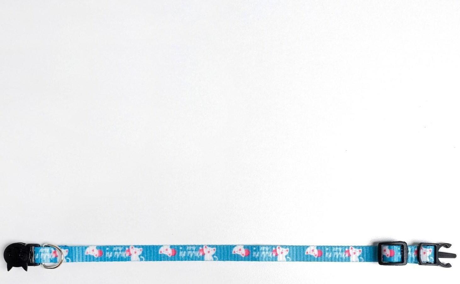 Ошейник для кошек с фастексом «Хочу на ручки», 30 х 1 см