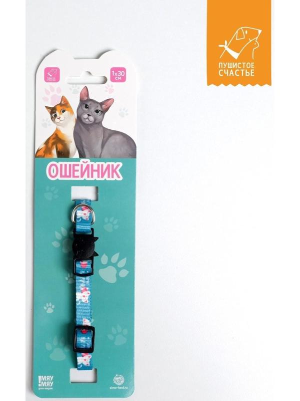 Ошейник для кошек с фастексом «Хочу на ручки», 30 х 1 см