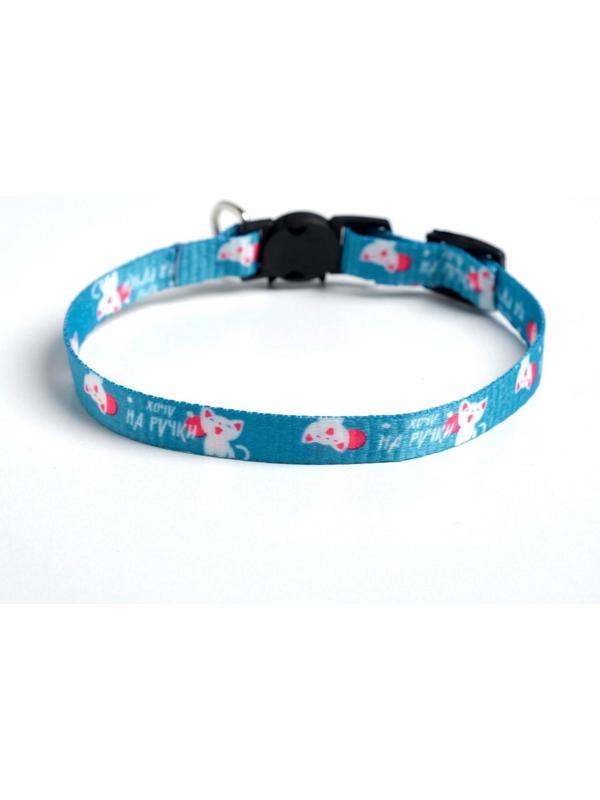 Ошейник для кошек с фастексом «Хочу на ручки», 30 х 1 см