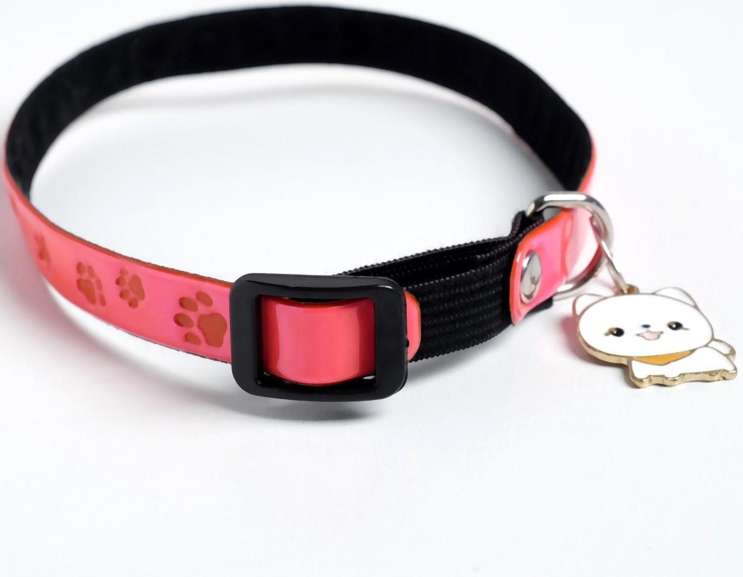 Ошейник светоотражающий «Лапки» с подвесом, 30 х 1 см, цвет розовый