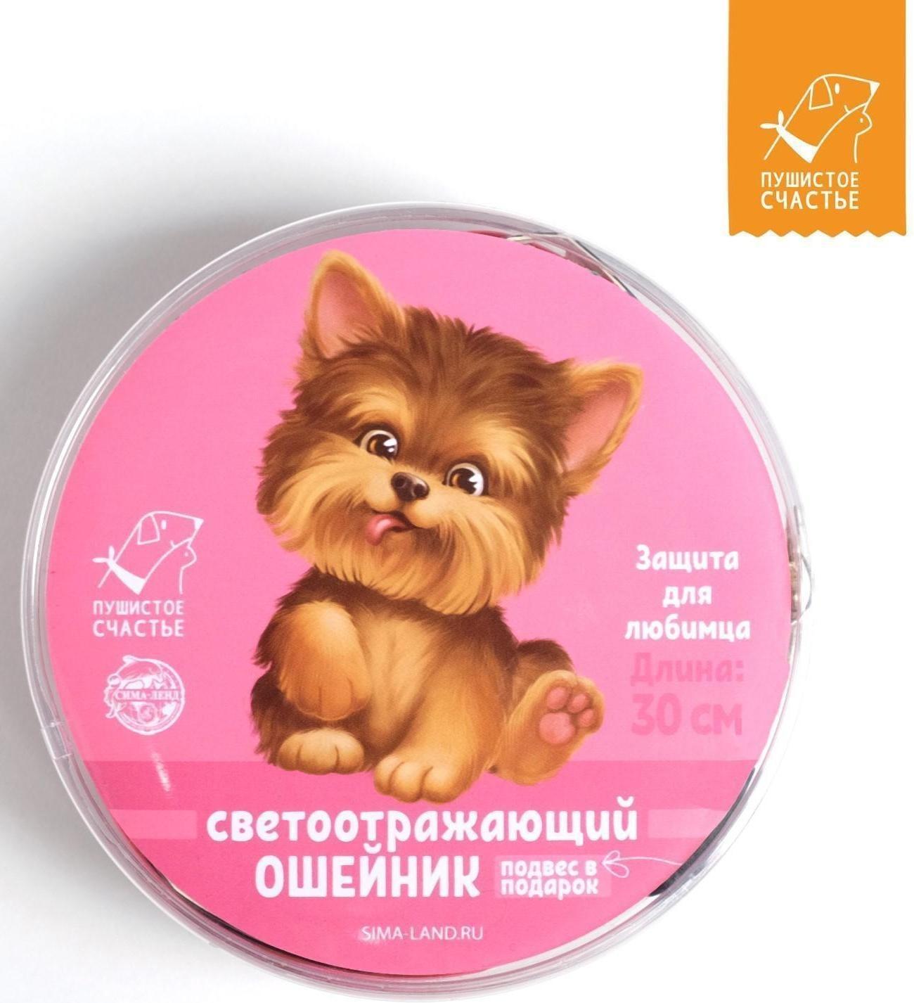 Ошейник светоотражающий «Лапки» с подвесом, 30 х 1 см, цвет розовый