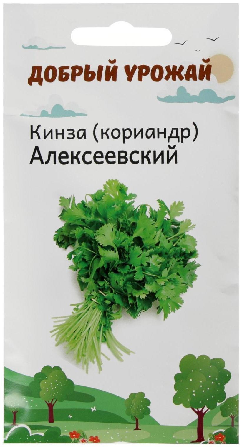 Семена Кинза (кориандр) Алексеевский 1 гр