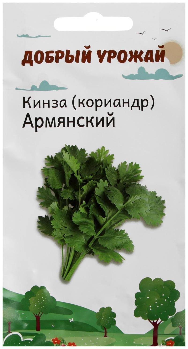 Семена Кинза (кориандр) Армянский 1 гр