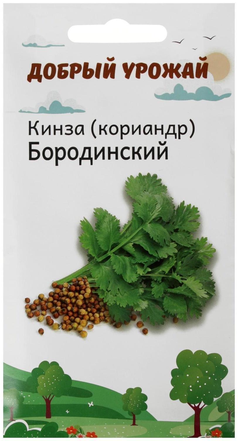 Семена Кинза (кориандр) Бородинский 1 гр