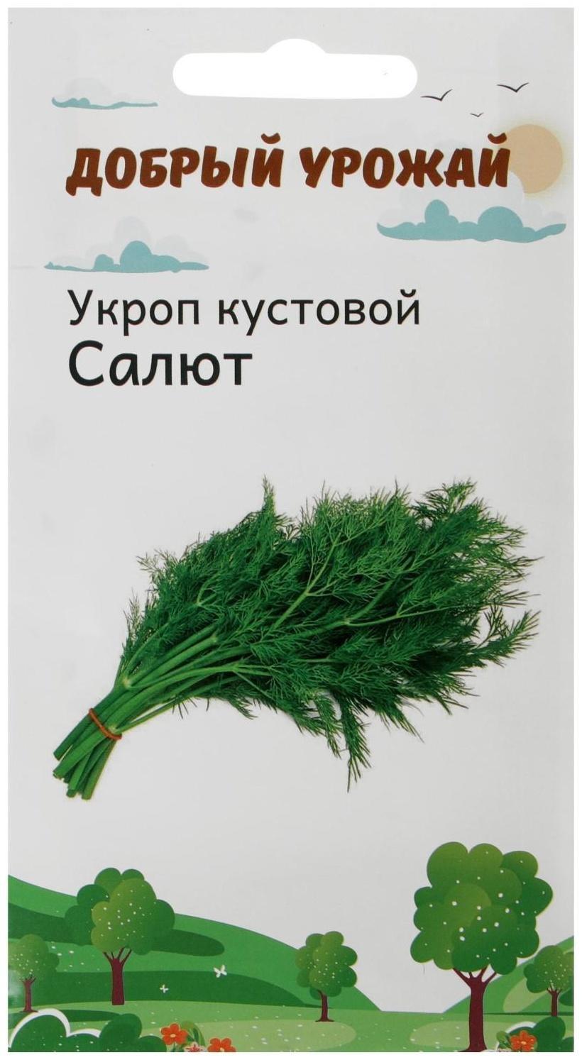 Семена Укроп кустовой Салют 1 гр