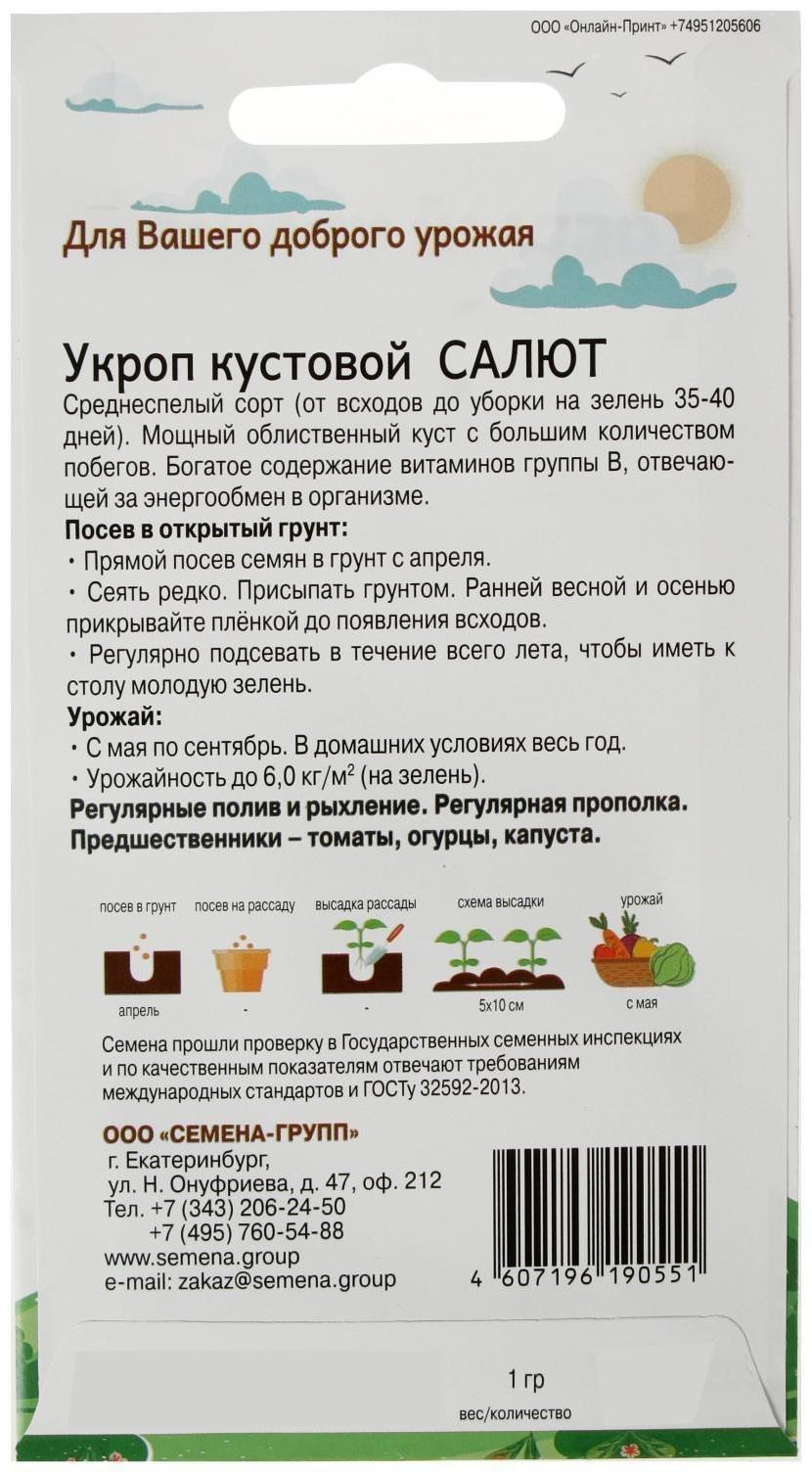 Семена Укроп кустовой Салют 1 гр