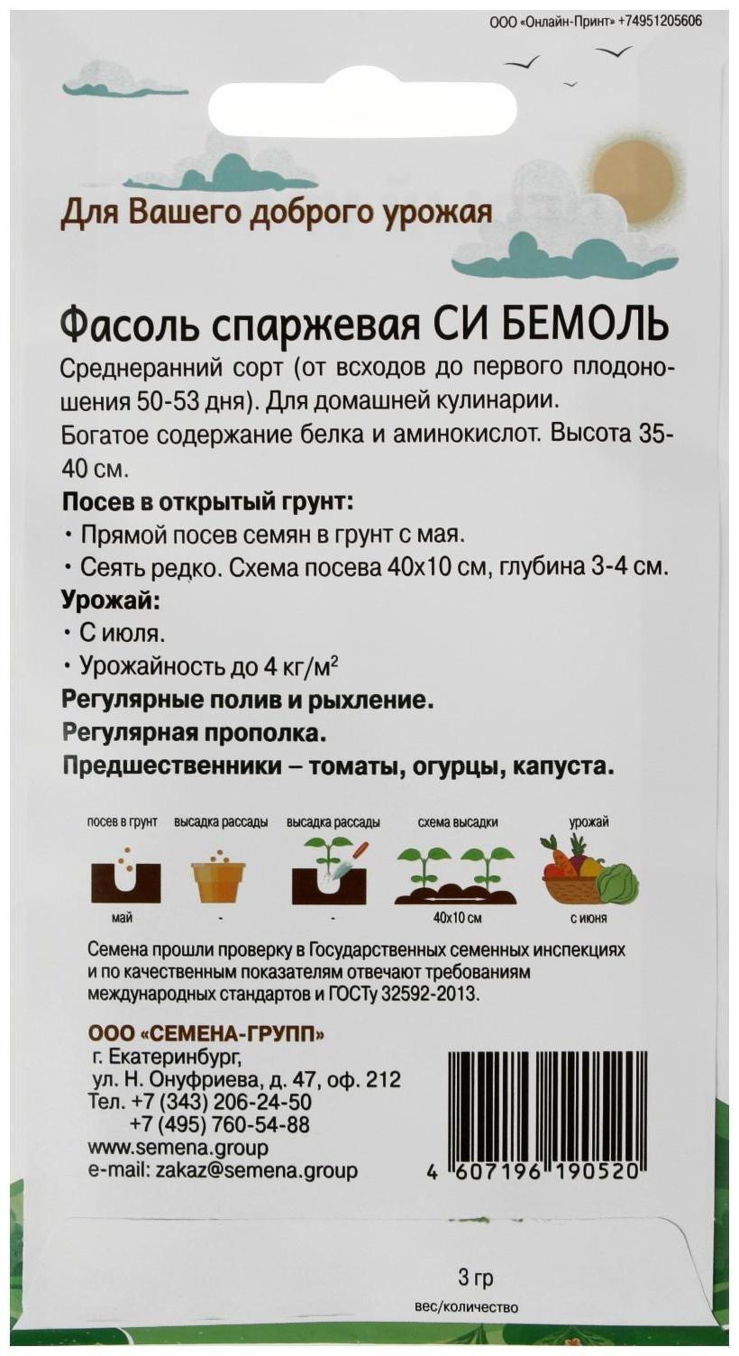 Семена Фасоль Си бемоль 3 г