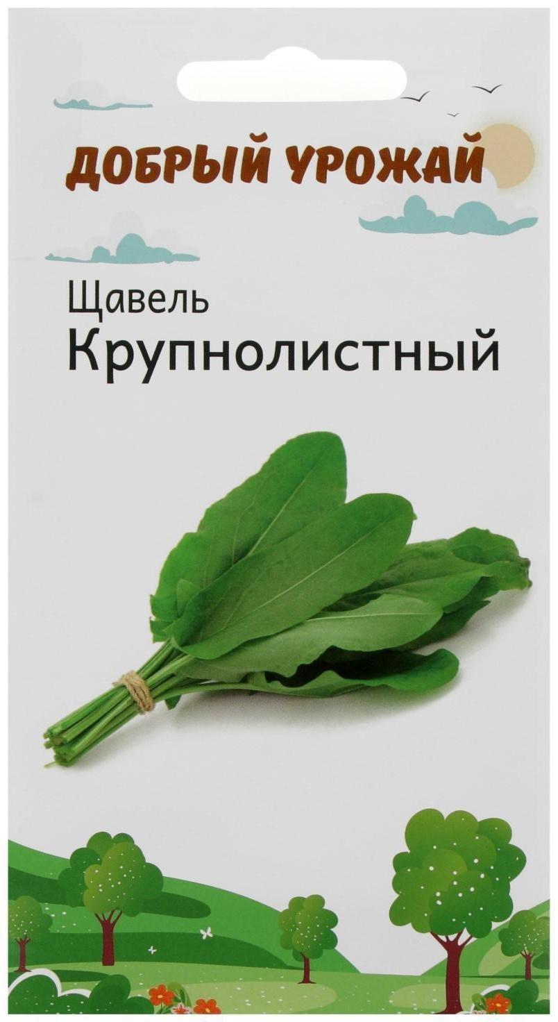 Семена Щавель Крупнолистный 1 гр