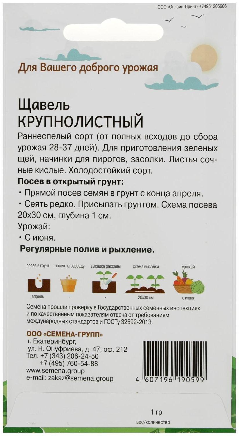 Семена Щавель Крупнолистный 1 гр