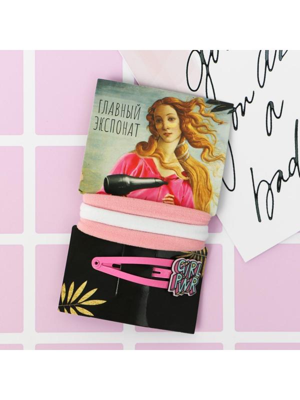 Резинки и заколка для волос «Главный экспонат», набор