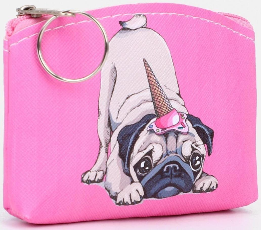 Кошелёк на молнии, цвет МИКС