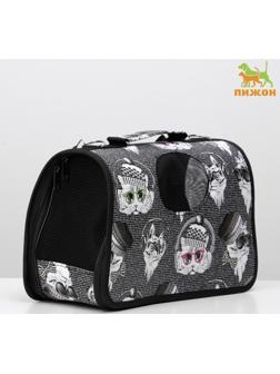 Сумка-переноска каркасная 