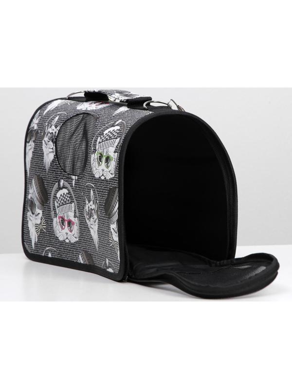 Сумка-переноска каркасная 