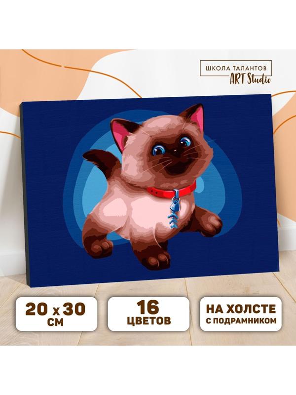 Картина по номерам на холсте с подрамником «Сиамский котёнок» 20х30 см