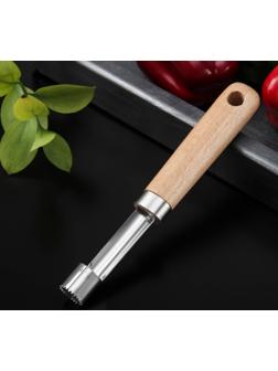 Нож для сердцевины Доляна «Древо», 20,5 см, цвет бежевый