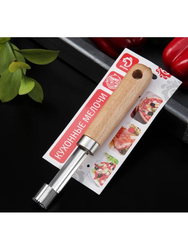 Нож для сердцевины Доляна «Древо», 20,5 см, цвет бежевый