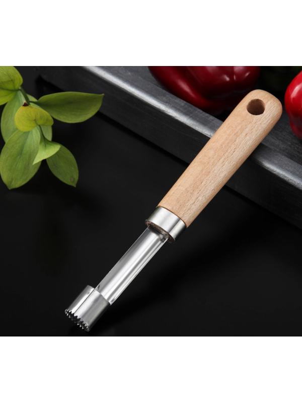 Нож для сердцевины Доляна «Древо», 20,5 см, цвет бежевый