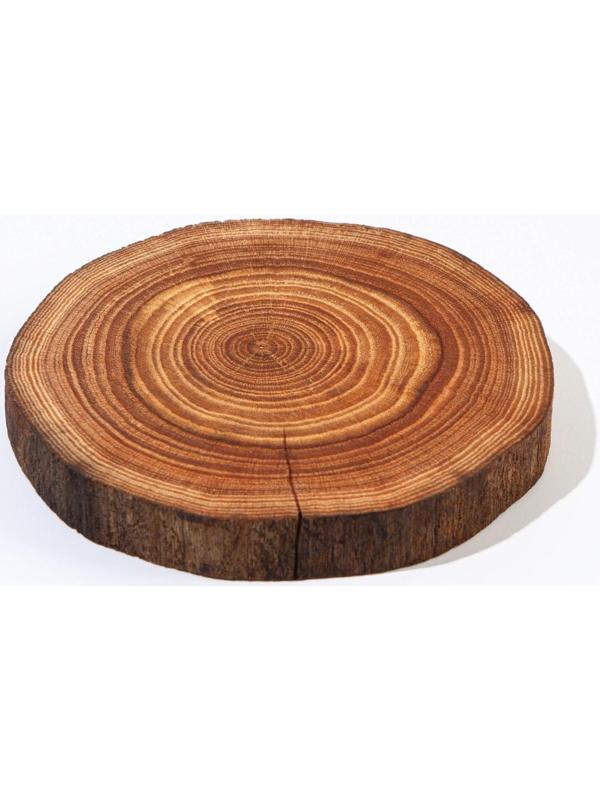 Подставка под горячее Magistro, из натурального вяза, микс