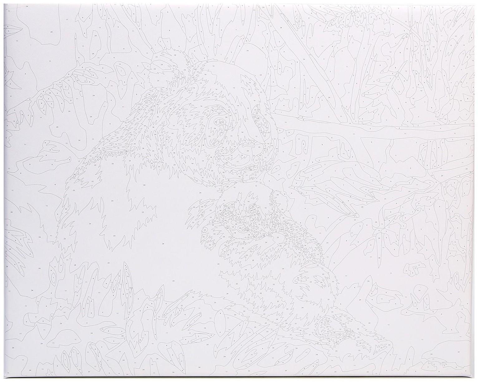 Картина по номерам на холсте с подрамником «Панды. Мама и малыш» 40х50 см