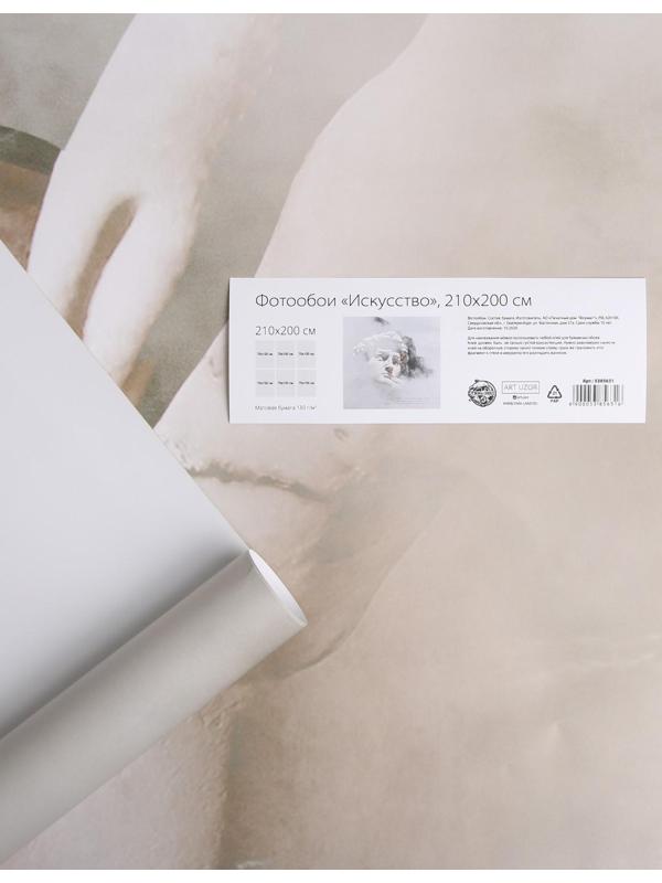 Фотообои «Искусство», 210 х 200 см, 130 г/м