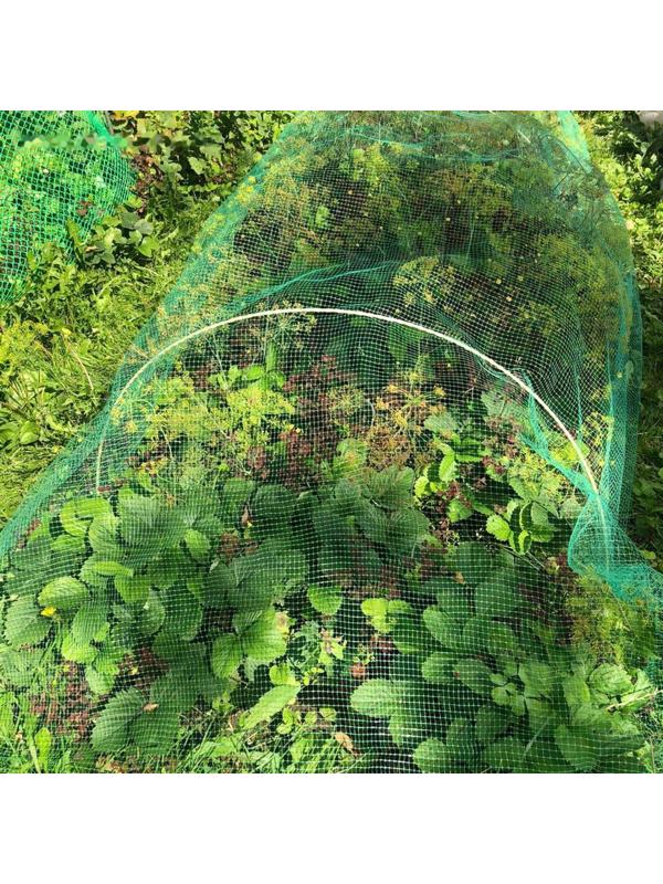 Сетка-навес, 5 м, 3 дуги, стеклопластик, МИКС