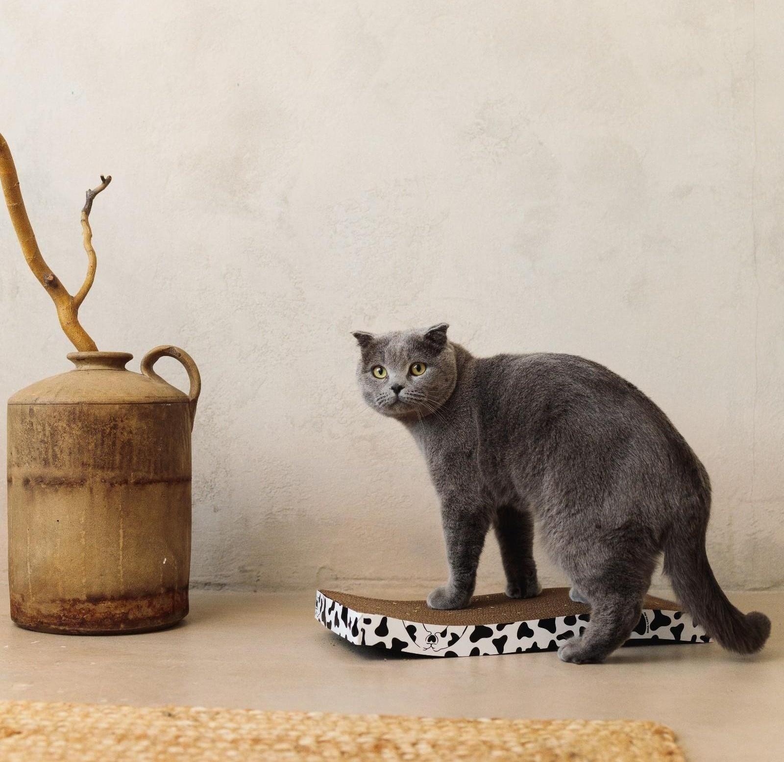 Когтеточка из картона с кошачьей мятой Moo-meow, волна, 22 х 45 см